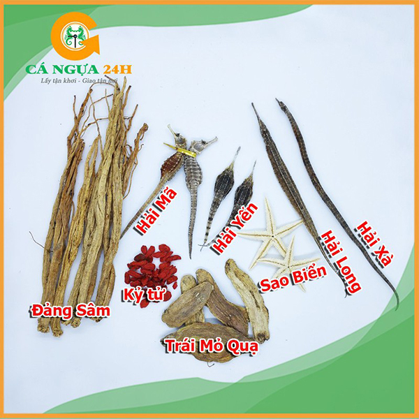 Combo Tứ Hải Long Vương Combo Tứ Hải Long Vương