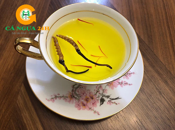 Đông Trùng Hạ Thảo pha nước nóng Đông Trùng Hạ Thảo pha nước nóng