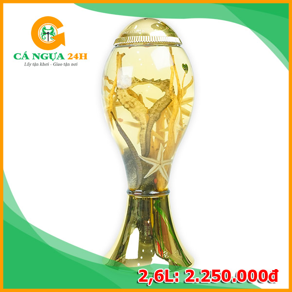 Bình Rượu Ngâm Sẵn Tại Shop - 02 Bình Rượu Ngâm Sẵn Tại Shop - 02