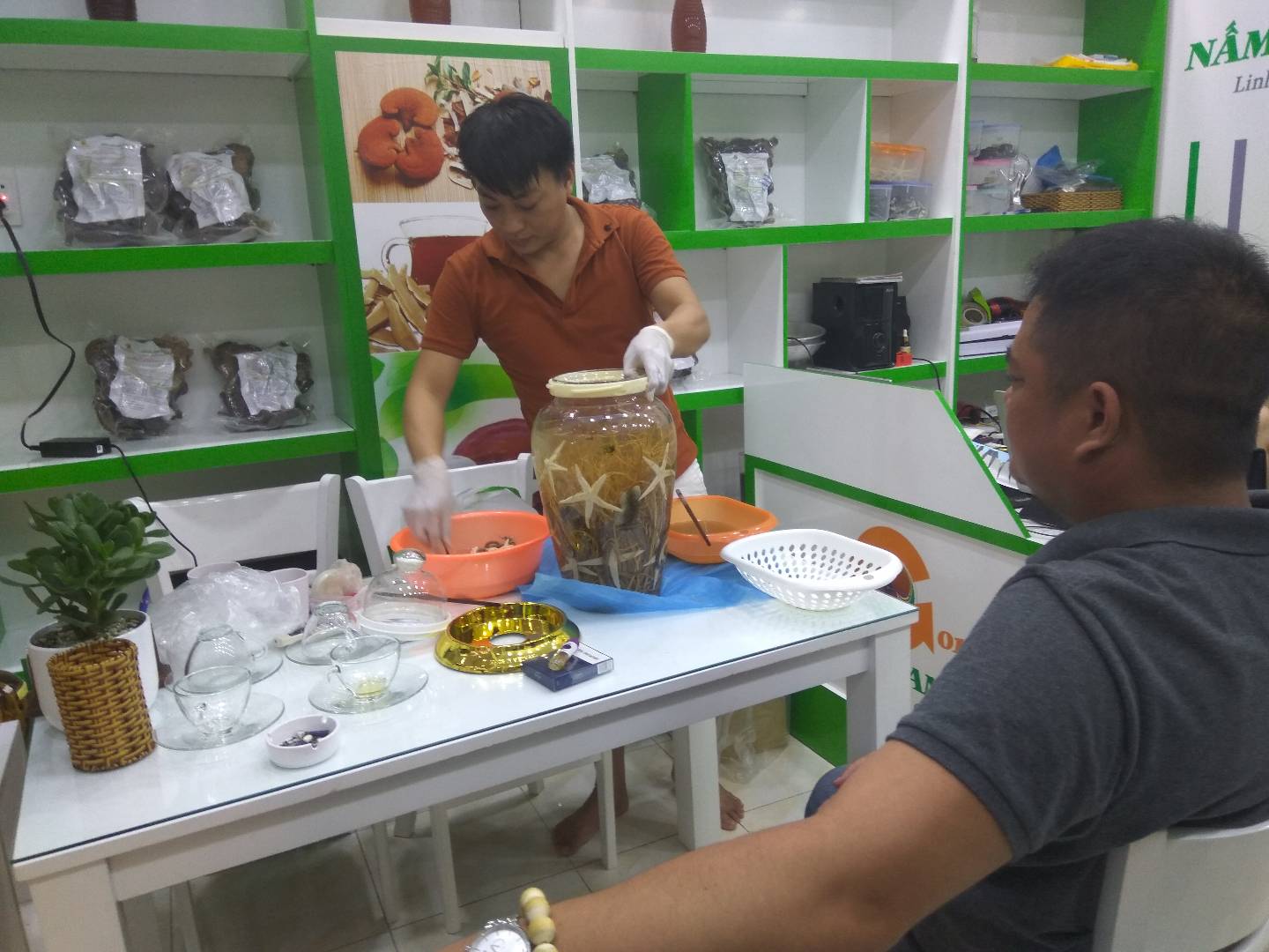 Ngâm rượu trực tiếp tại Cá Ngựa 24H Ngâm rượu trực tiếp tại Cá Ngựa 24H