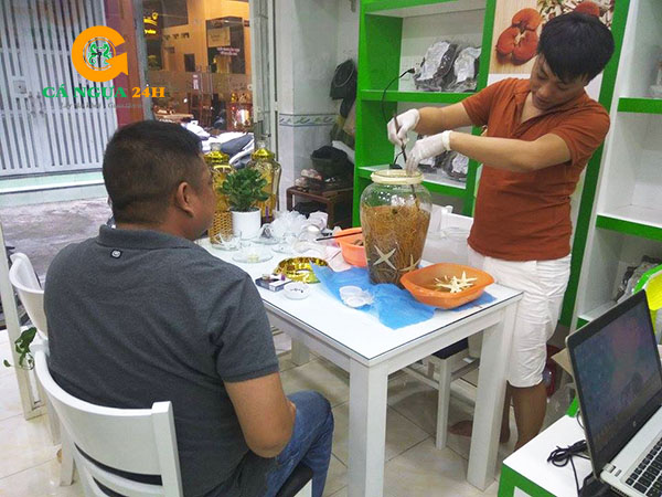 Cá Ngựa Được Ngâm Trực Tiếp Tại Cửa Hàng Cá Ngựa Được Ngâm Trực Tiếp Tại Cửa Hàng