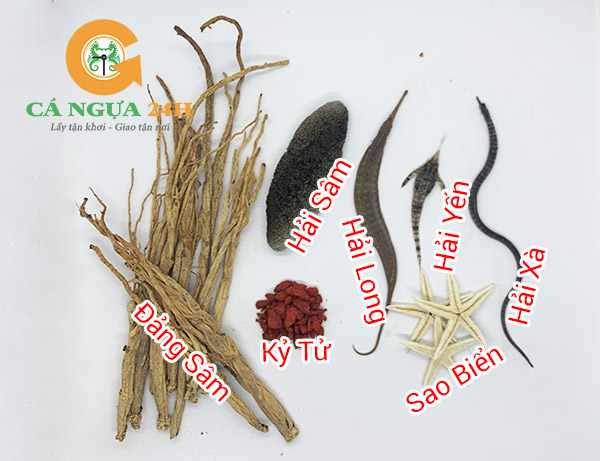 Nguyên liệu ngâm cá ngựa khô Nguyên liệu ngâm cá ngựa khô