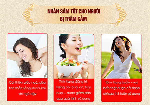 Nhân sâm tốt cho người bị trầm cảm Nhân sâm tốt cho người bị trầm cảm