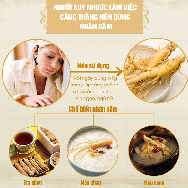 Nhân sâm tốt cho người suy nhược cơ thể Nhân sâm tốt cho người suy nhược cơ thể