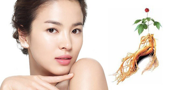 Nhân sâm tươi Hàn Quốc giữ mãi thanh xuân cho phụ nữ Nhân sâm tươi Hàn Quốc giữ mãi thanh xuân cho phụ nữ