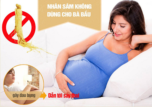 Phụ nữ mang thai không nên sử dụng nhân sâm Phụ nữ mang thai không nên sử dụng nhân sâm