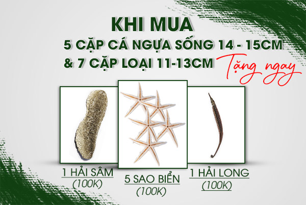 Nhận Ngay Quà Tặng Khi Mua Cá Ngựa Sống Tại Cửa Hàng Nhận Ngay Quà Tặng Khi Mua Cá Ngựa Sống Tại Cửa Hàng