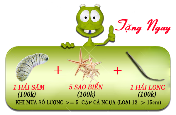 quà tặng khi mua 5 cặp >=12cm quà tặng khi mua 5 cặp >=12cm