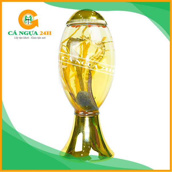 Rượu Cá Ngựa Bình 3 Lít Tại Cá Ngựa 24h Rượu Cá Ngựa Bình 3 Lít Tại Cá Ngựa 24h