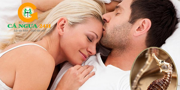 cá ngựa giúp điều trị hiến muốn, vô sinh cá ngựa giúp điều trị hiến muốn, vô sinh