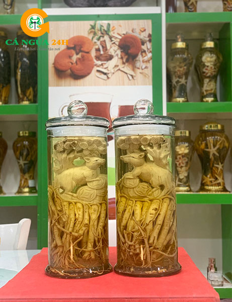 Bình Rượu Đinh Lăng Điêu Khắc Ngâm Sẵn Tại Shop - 01 Bình Rượu Đinh Lăng Điêu Khắc Ngâm Sẵn Tại Shop - 01