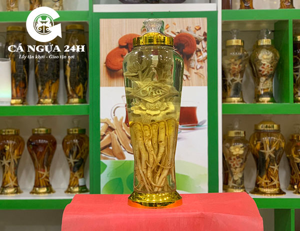 Rượu Đinh Lăng Điêu Khắc Tình Cha Ý Nghĩa Rượu Đinh Lăng Điêu Khắc Tình Cha Ý Nghĩa