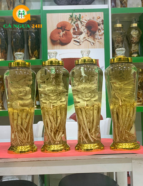 Bình Rượu Đinh Lăng Điêu Khắc Ngâm Sẵn Tại Shop - 05 Bình Rượu Đinh Lăng Điêu Khắc Ngâm Sẵn Tại Shop - 05