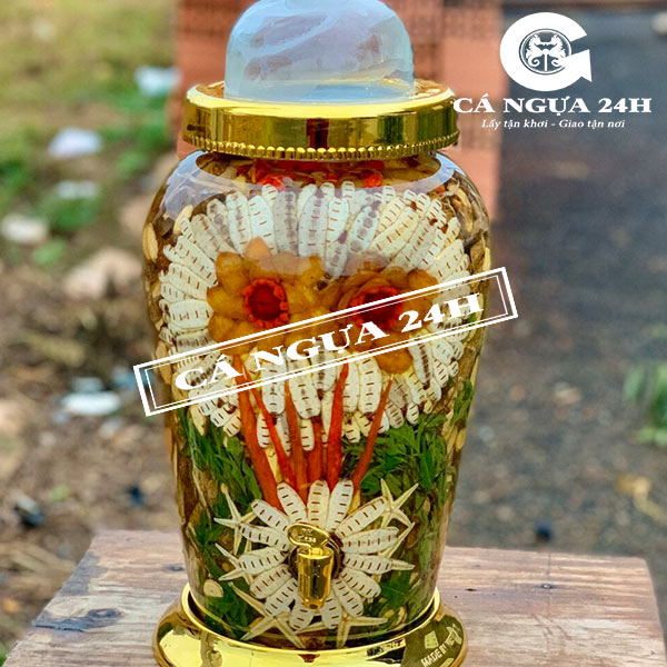 Rượu Mối Chúa Bình 10Lít Tại Cá Ngựa 24h Rượu Mối Chúa Bình 10Lít Tại Cá Ngựa 24h