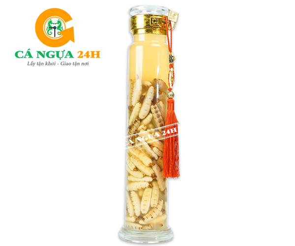 Bình Rượu Mối Chúa 1Lít Có Hộp Quà Tại Cá Ngựa 24h Bình Rượu Mối Chúa 1Lít Có Hộp Quà Tại Cá Ngựa 24h