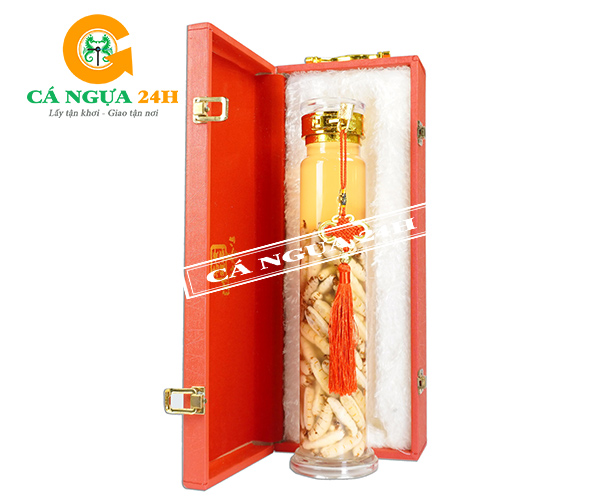 Rượu Mối Chúa Bình 1Lít Có Hộp Quà Tại Cá Ngựa 24h Rượu Mối Chúa Bình 1Lít Có Hộp Quà Tại Cá Ngựa 24h