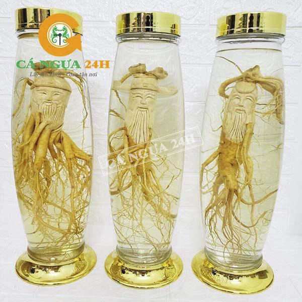 Rượu Nhân Sâm Phúc Lộc Thọ, Món Quà Sang Trọng Và Ý Nghĩa Rượu Nhân Sâm Phúc Lộc Thọ, Món Quà Sang Trọng Và Ý Nghĩa