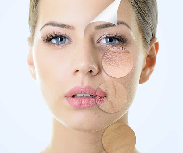 Rượu Cá Ngựa Có Tác Dụng Chống Oxy Hóa, Ngăn Ngừa Lão Hóa Rượu Cá Ngựa Có Tác Dụng Chống Oxy Hóa, Ngăn Ngừa Lão Hóa