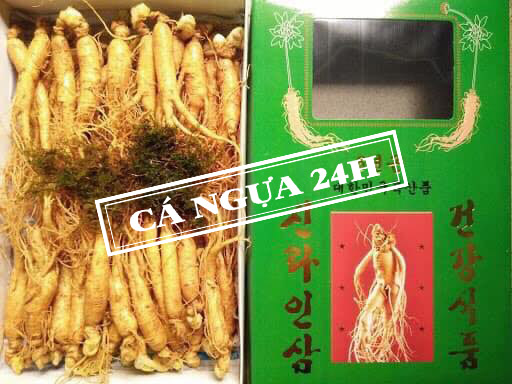 Hộp sâm tươi Hàn Quốc hầm gà loại 20 - 40 củ/kg Hộp sâm tươi Hàn Quốc hầm gà loại 20 - 40 củ/kg