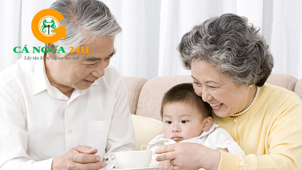 Tác dụng của Đông Trùng Hạ Thảo với người già Tác dụng của Đông Trùng Hạ Thảo với người già