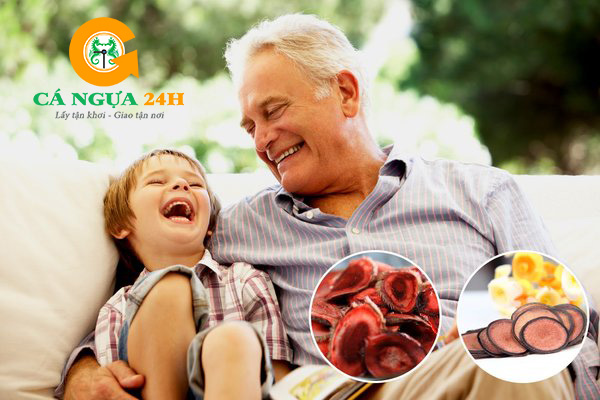 Tác dụng hiệu quả của nhung hươu đối với người già và trẻ em Tác dụng hiệu quả của nhung hươu đối với người già và trẻ em