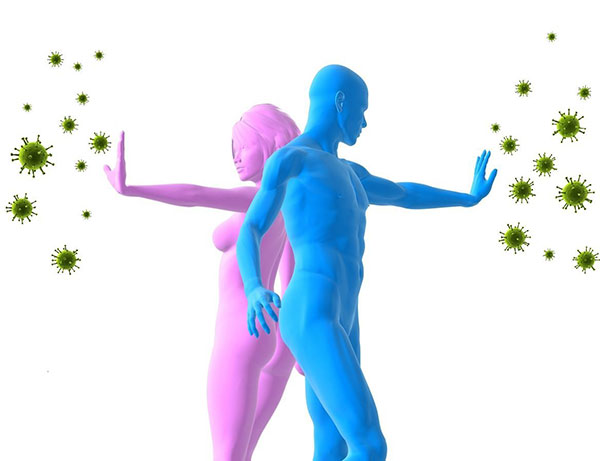 Rượu sâm Hàn Quốc giúp nâng cao hệ miễn dịch và phòng ngừa bệnh tật hiệu quả Rượu sâm Hàn Quốc giúp nâng cao hệ miễn dịch và phòng ngừa bệnh tật hiệu quả