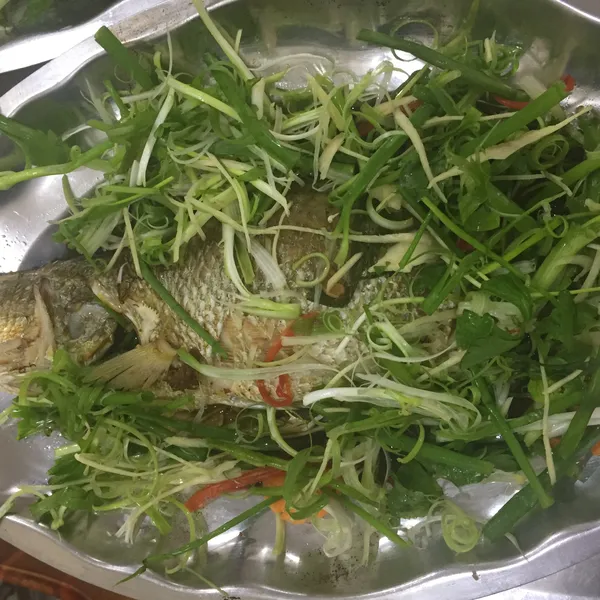 Cá chẽm hấp Hong Kong