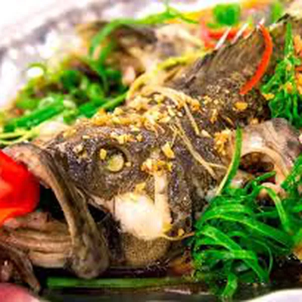 Cá mú hấp Hong Kong