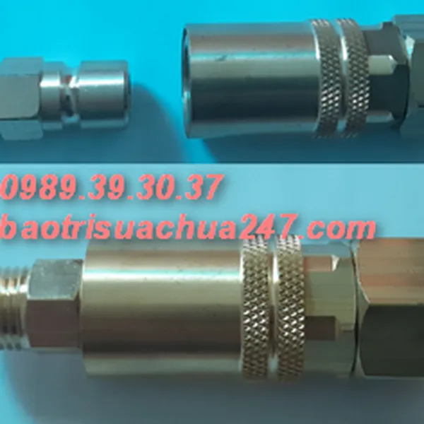 Cặp Đầu Đực/Cái Nối nước Nhanh cho khuôn