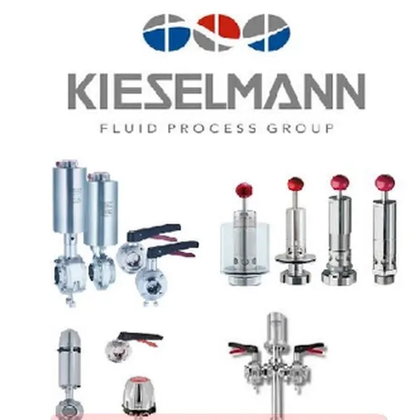Van Bướm KIESELMANN DN80