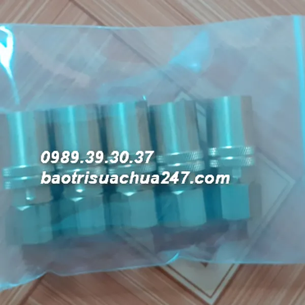 Cặp Đầu Đực/Cái Nối nước Nhanh cho khuôn