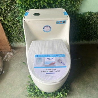 Bồn cầu Trứng màu trắng nắp bằng 
