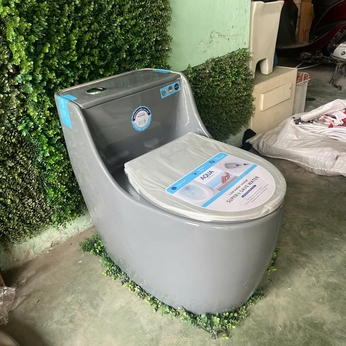 Bồn cầu Trứng màu xám nắp bằng 