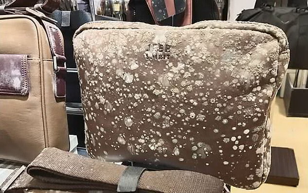 làm sạch đồ da bị mốc