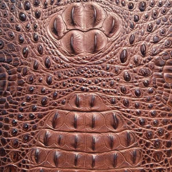 làm sạch ví da cá sấu