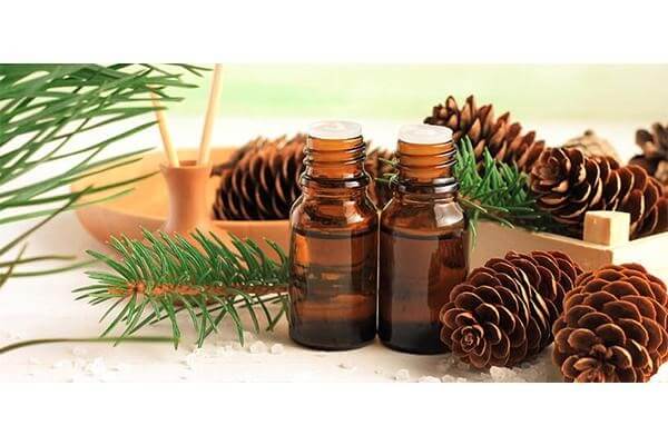 thắt lưng da bị mốc