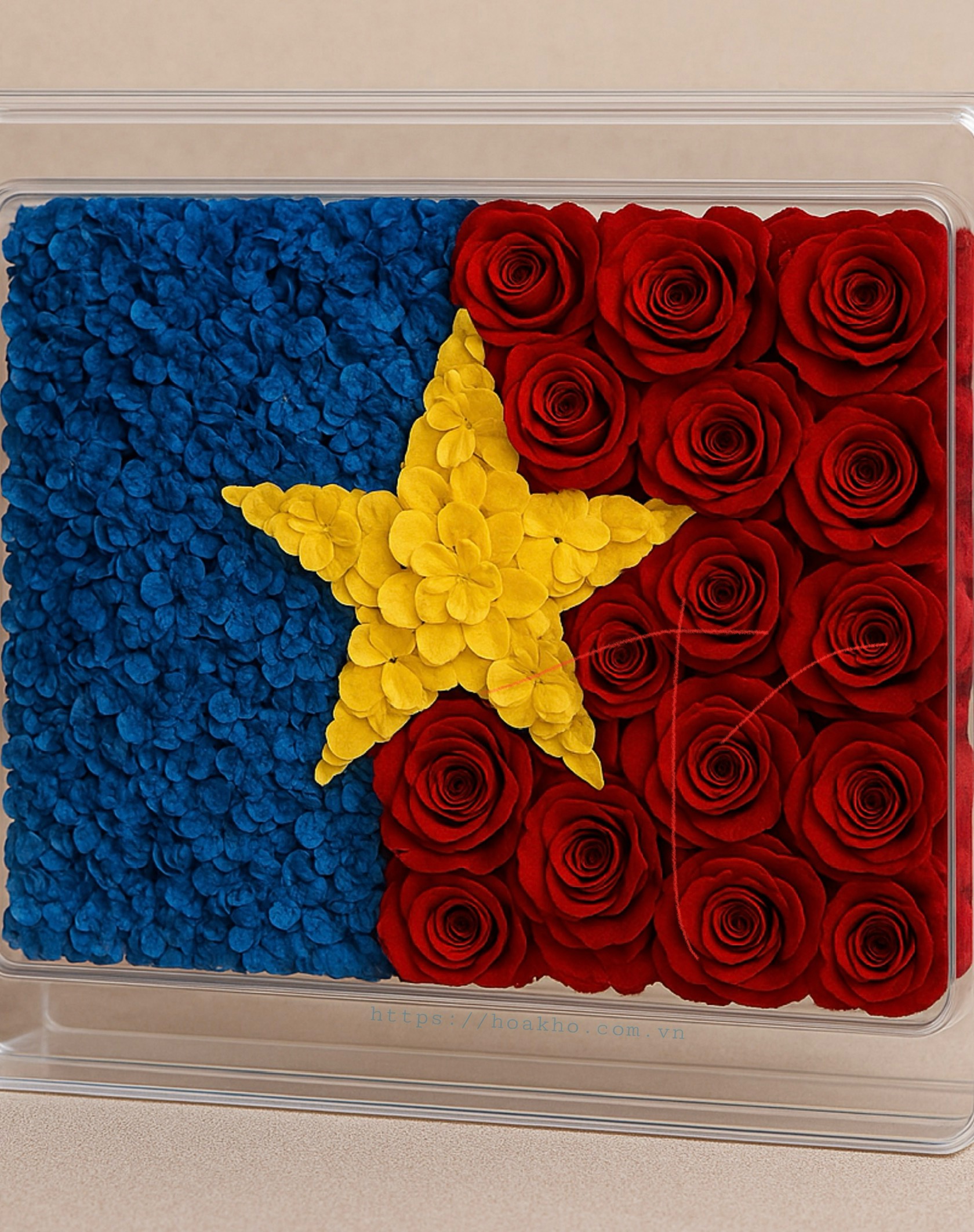 cờ việt nam bằng hoa khô