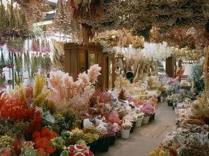 Dried Flowers in Binh Tan District – A Must-Visit Spot for Decor and Handmade Lovers
