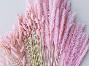 Pastel Dried Flowers – Soft Elegance for a Refined Space