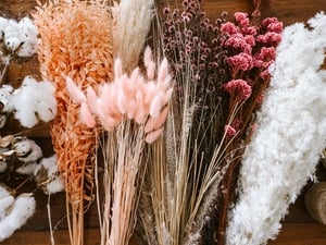 Are Dried Flowers Safe for Your Health?
