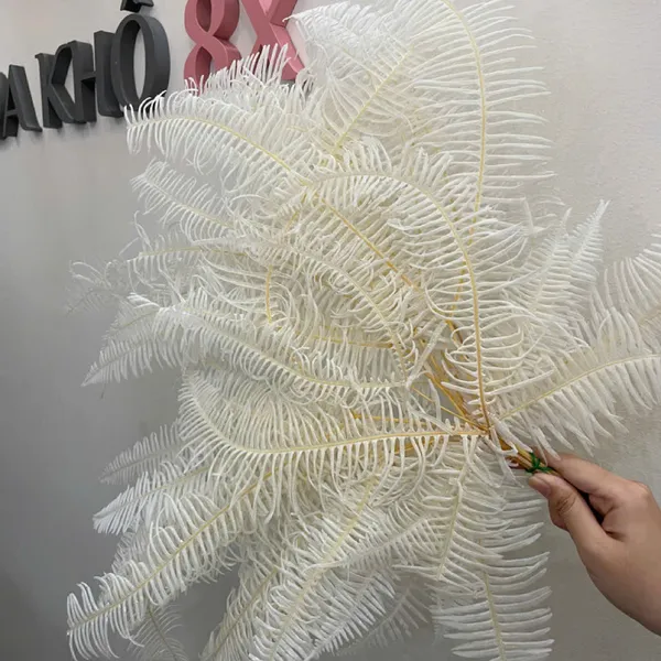 LÁ DƯƠNG XỈ KHÔ