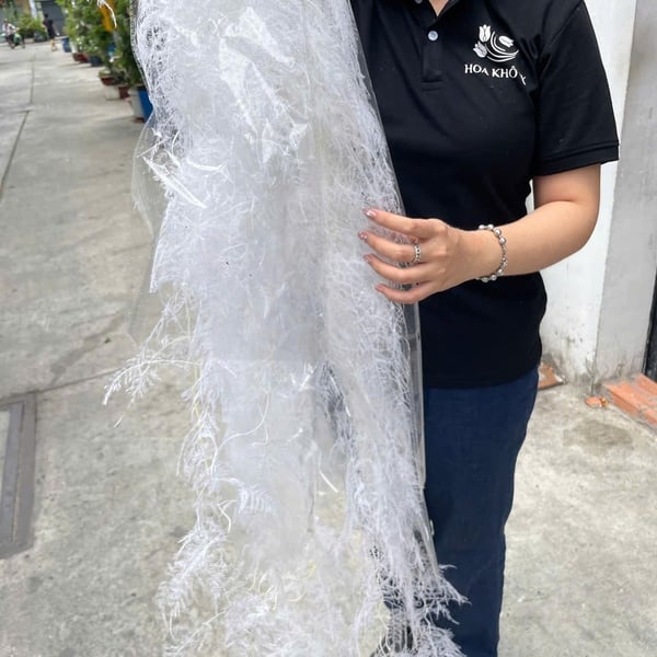 KIM THỦY TÙNG KHÔ