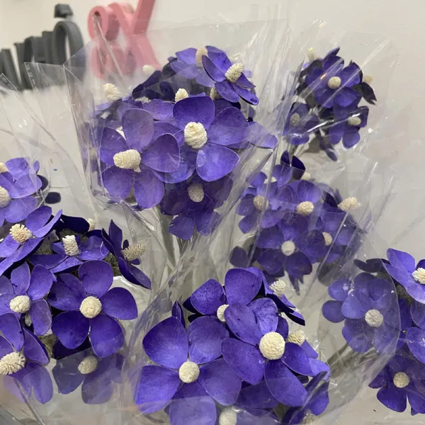 Dried Cosmos Flowers