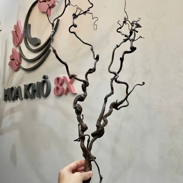 CÀNH CÂY KHÔ CẮM HOA