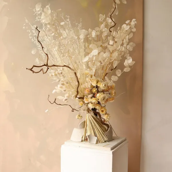 LÁ LUNARIA