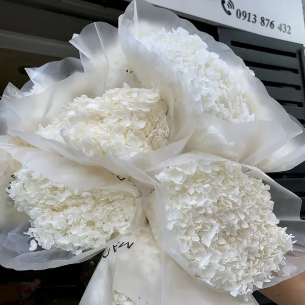 CẨM TÚ CẦU KHÔ