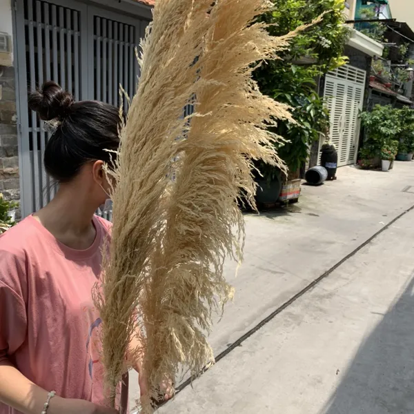HOA LAU RỪNG