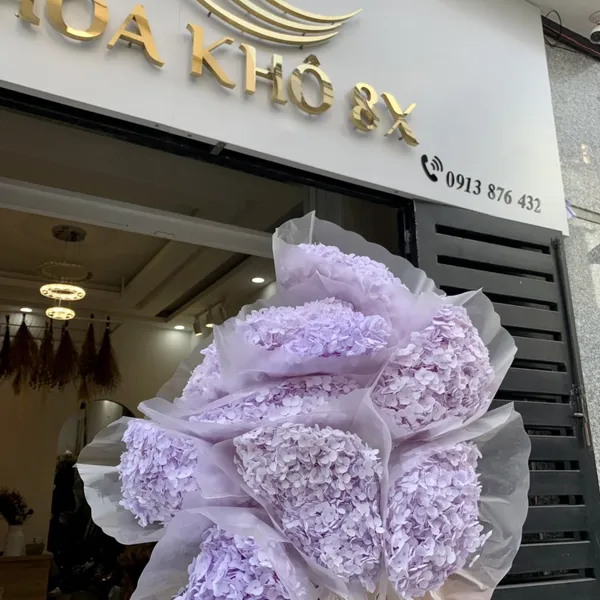 CẨM TÚ CẦU