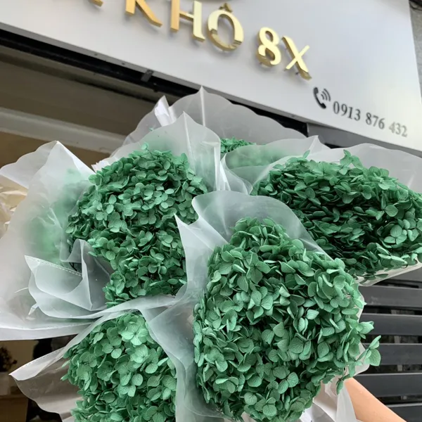 CẨM TÚ CẦU