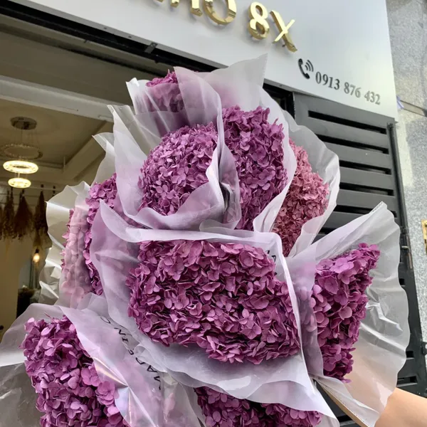 CẨM TÚ CẦU